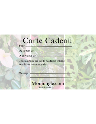 Carte Cadeau - MONJUNGLE france