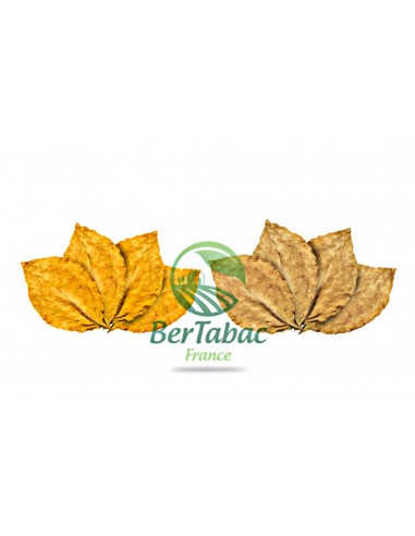 FEUILLES DE TABAC - VIRGINIE BLOND / VIRGINIE ORANGE sélection de produits