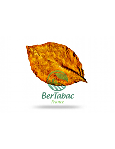 FEUILLES DE TABAC - VIRGINIE RED (ITALIA) Toutes les collections ici