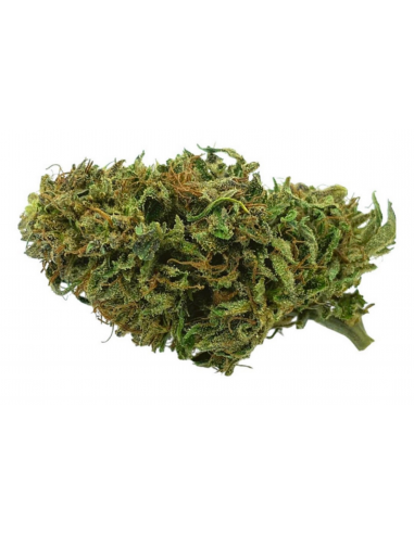 FLEURS CBD - OG KUSH soldes