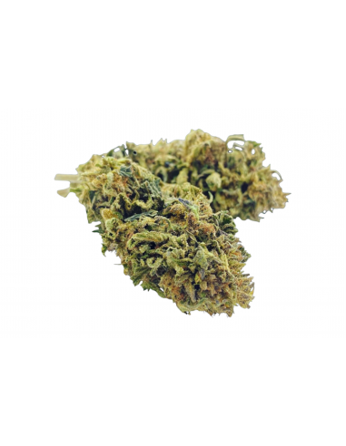 FLEURS CBD - GELATO basket pas cher