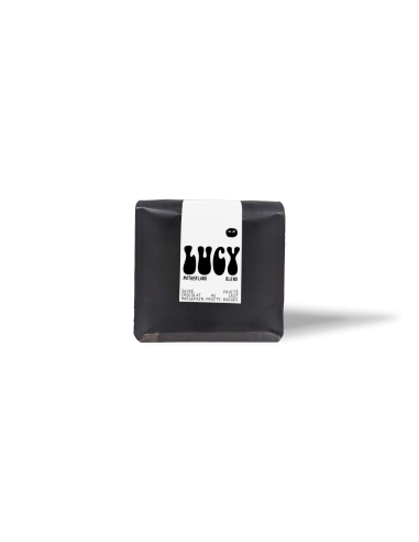 Lucy - Motherland Blend le concept de la Pate a emporter 