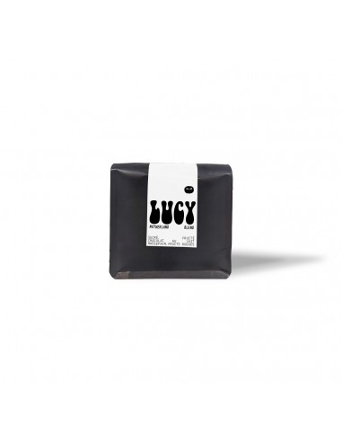 Lucy - Motherland Blend Pro Vous souhaitez 