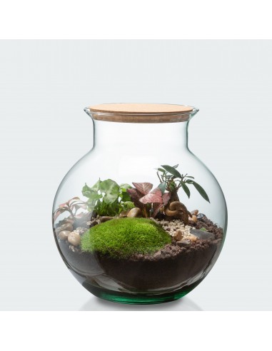 Terrarium Anna - Taille M livraison et retour toujours gratuits