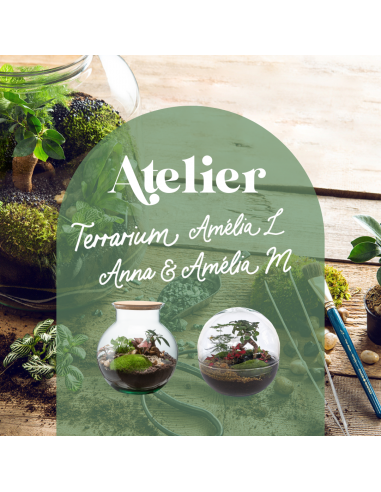 ☘️ Atelier Terrarium Anna ou Amélia - Taille M ☘️ shop