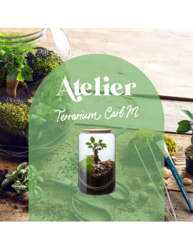 🌿 Atelier Terrarium Carl - Taille M 🌿 de technologie