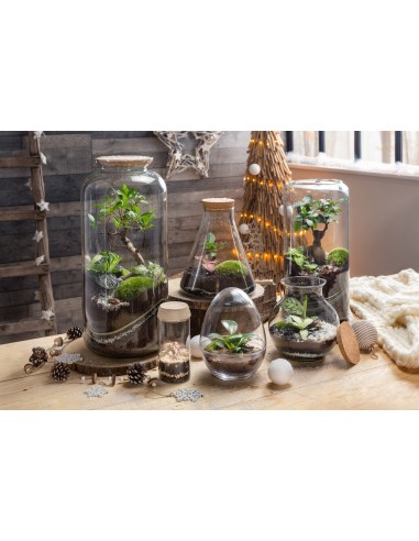 Terrarium Jeanne - Taille M rembourrage situé sous