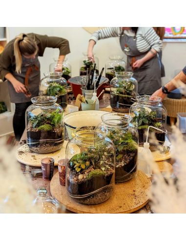 🌿 Jeanne Terrarium Workshop – Größe S oder M 🌿 votre restaurant rapide dans 