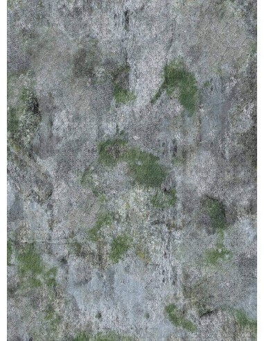 Rocks  - 60x44 - Zone de bataille 2023