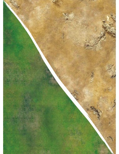 Field / Desert - 60X44 - Game mat Recto Verso offre 